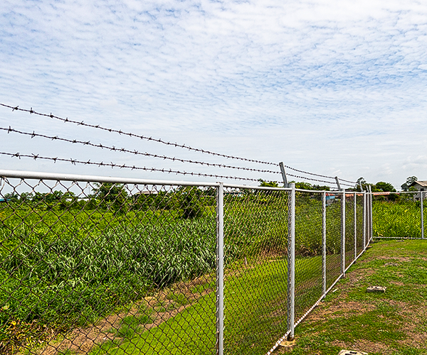 Agriculture